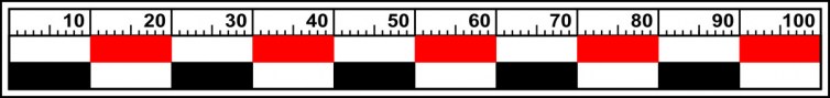 Měřítko 10 x 1 cm ČRBM-16
